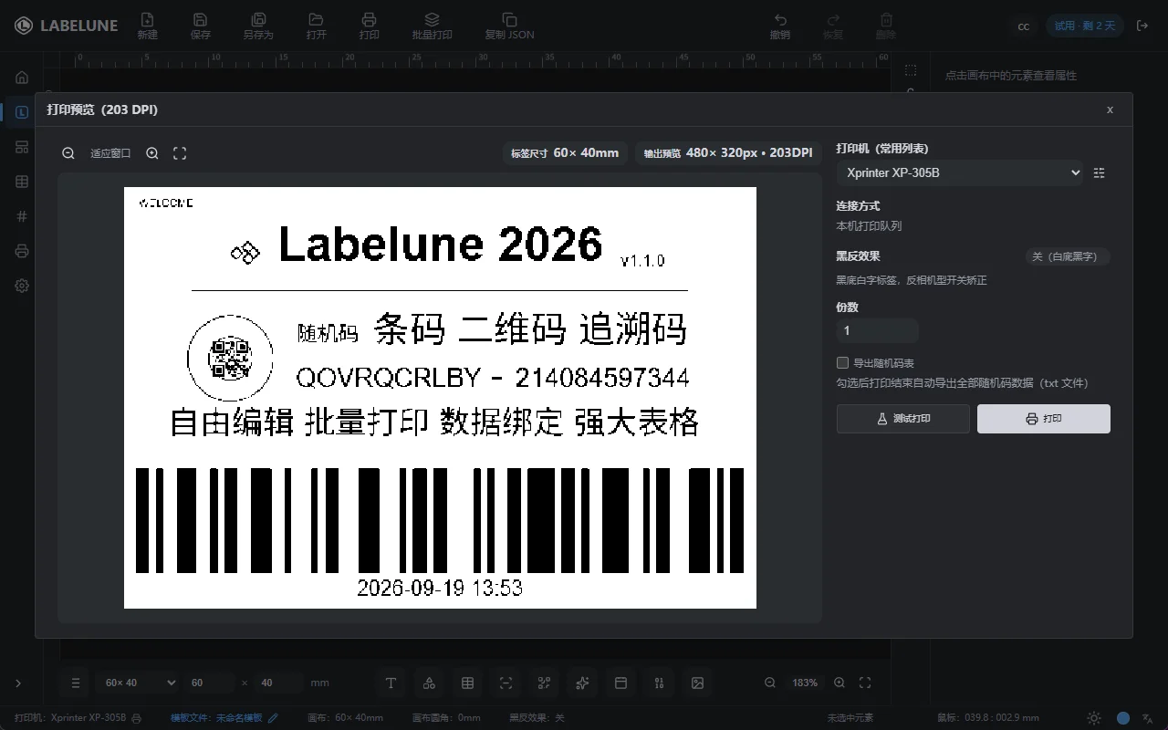 打印预览：203 DPI 点阵预览与打印参数
